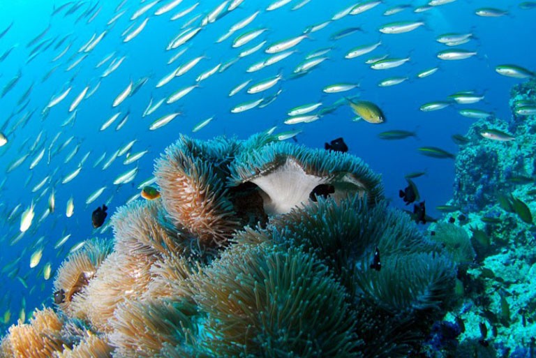 An immersing experience in a pristine setting