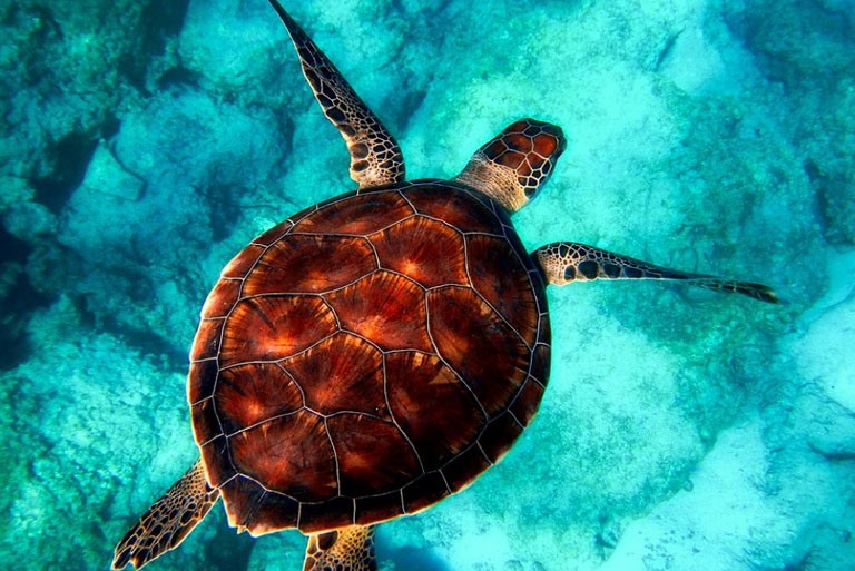 Zante’s Natural Habitat Is Simply Breathtaking